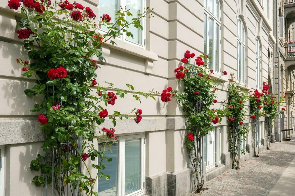 Charming In Apartamento *