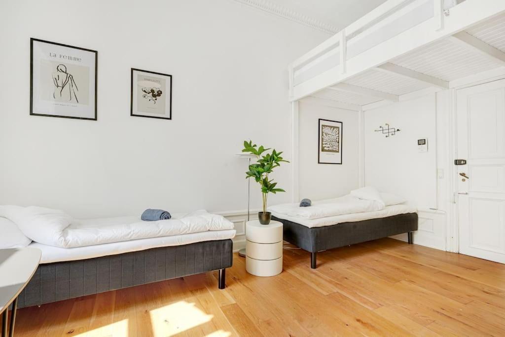 Charming In Apartamento *