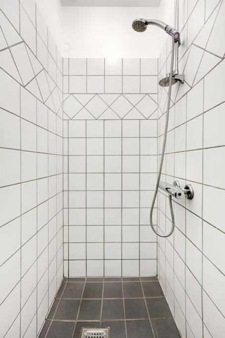 Apartamento Charming In Copenhaga
